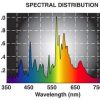 dual ams 1000 watt spectral chart