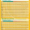 bloom yellow bottles feeding chart