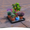 autopot easy2go kit